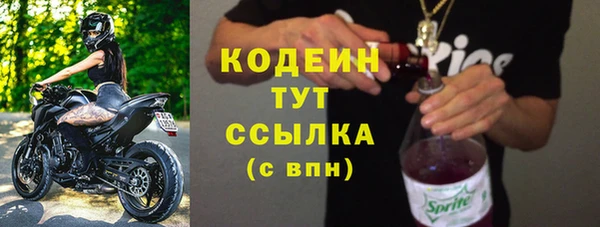 прущие грибы Арсеньев