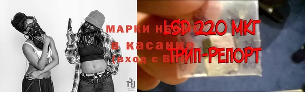 прущие грибы Арсеньев