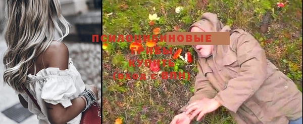 прущие грибы Арсеньев