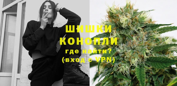 прущие грибы Арсеньев