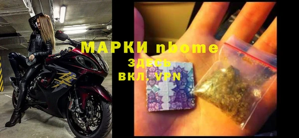 прущие грибы Арсеньев