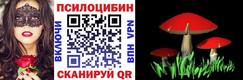 Псилоцибиновые грибы Magic Shrooms  Сураж 